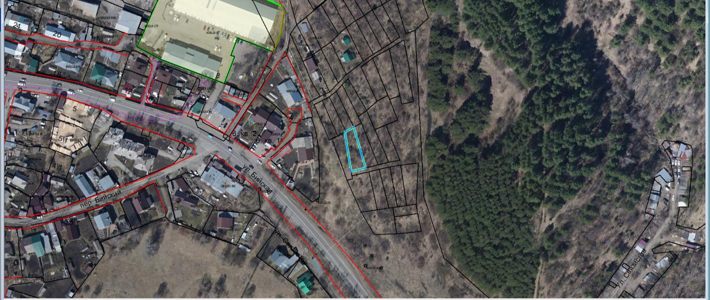 Земельный участок с кадастровым номером 04:11:020174:125 — схема расположения участка